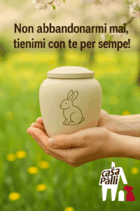 giornata famiglia